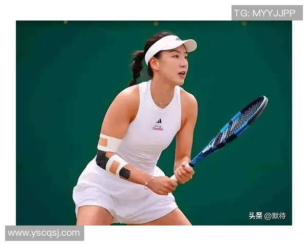 北京网球队实力强劲荣登全国网球实力排行榜第四位