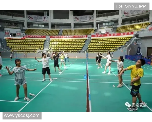 北京羽毛球队运营革新探索：新模式与发展路径的深度分析